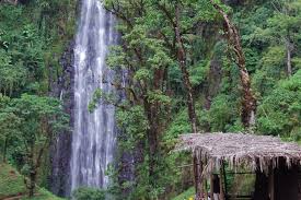 Waterfall View